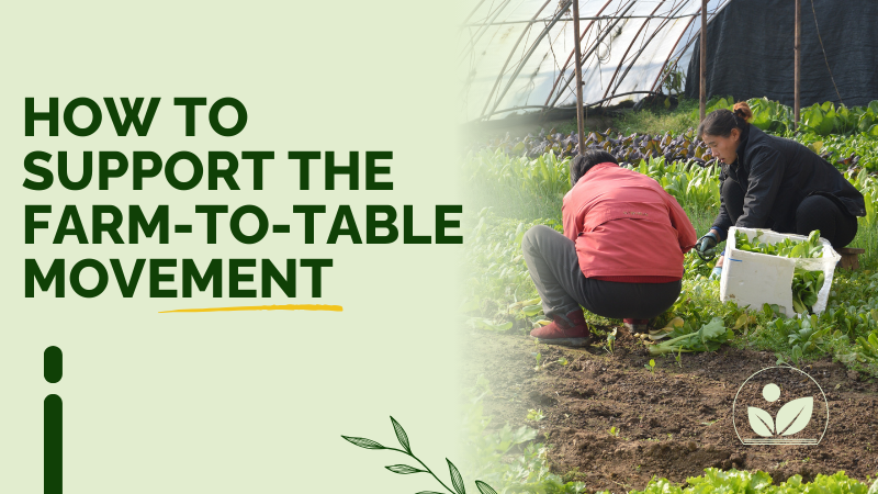 Farm-to-Table Movement